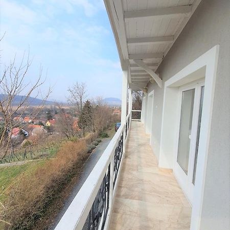 Villa Izabella Бадачоньтёрдемиц Экстерьер фото