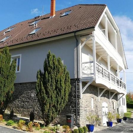 Villa Izabella Бадачоньтёрдемиц Экстерьер фото